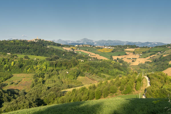 Montotto, Monterubbiano, province of Fermo, Marche, Italy, Europe. Petritoli and the Sibillini mountains