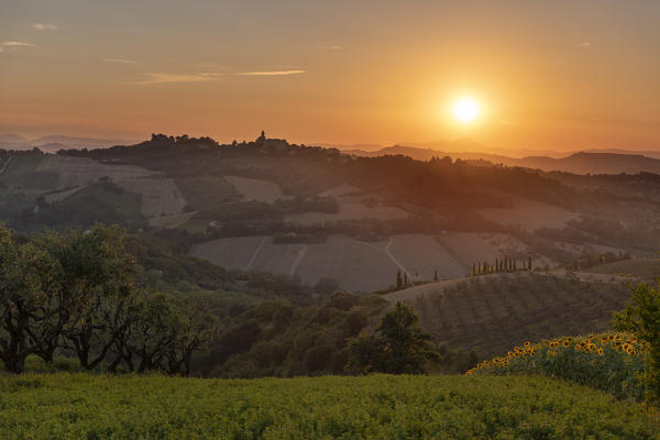 Petritoli, province of Fermo, Marche, Italy, Europe. Sunset in the hills of the Marche