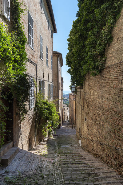 Fermo, province of Fermo, Marche, Italy, Europe. Narrow streets in the provincial capital Fermo