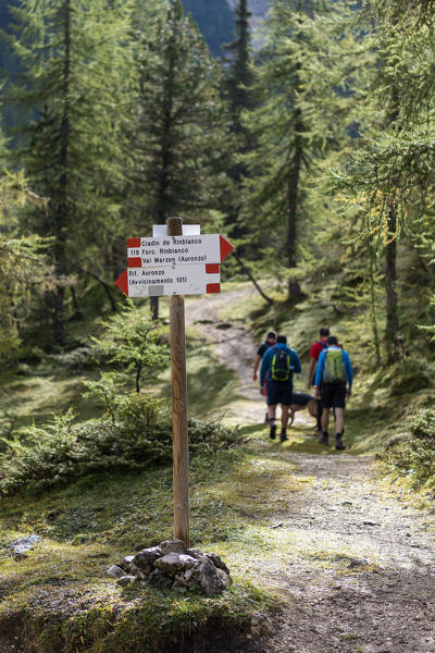 Misurina, Dolomites, province of Belluno, Veneto, Italy. Hike to the refuge Fonda Savio in the Cadini mountain group