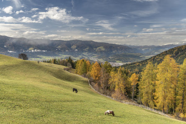 Perca/Percha, province of Bolzano, South Tyrol, Italy, Europe. View from Platten in the Puster Valley and to the city of Bruneck