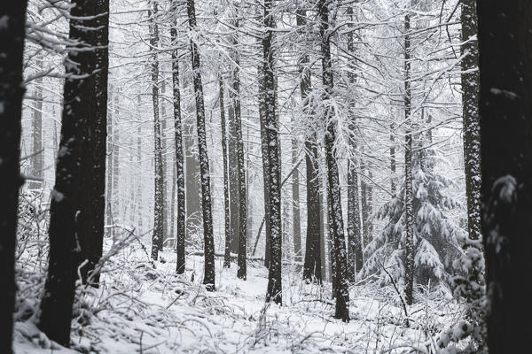 Winter Season in Brescia prealpi, Brescia province, Lombardy, Italy, Europe