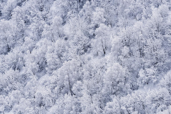 Winter Season in Brescia prealpi, Brescia province, Lombardy, Italy, Europe