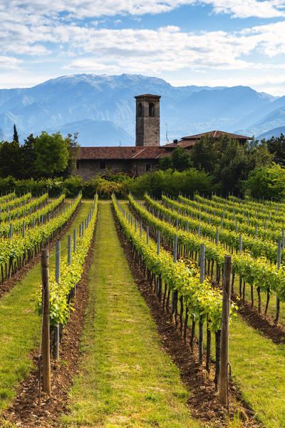 Franciacorta in Spring Season, Brescia province in Lombardy dsitrict, Italy, Europe.