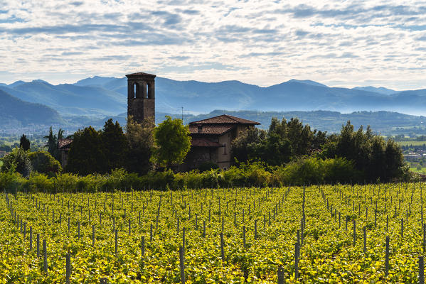 Franciacorta in Spring Season, Brescia province in Lombardy dsitrict, Italy, Europe.