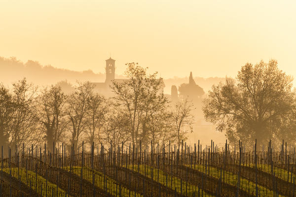 Vineyards in Franciacorta at dawn in Winter season, Brescia province, Lombardy district, Italy, Europe