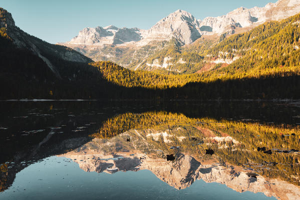 Tovel lake in Non Valley at dawn in autumn season, Trentino Alto Adige, Italy, Europe