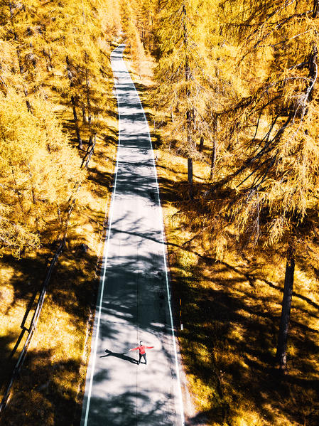 Autumn in Dolomites, a beautiful road into the Larches, Trentno alto Adige, Italy