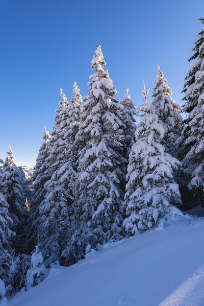 Winter season in Orobie alps, Bergamo province, Lombardy district, Italy, Europe