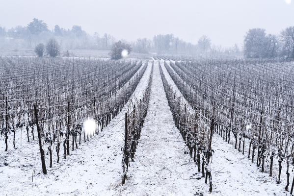 Snowfall in Franciacorta in Winter season, Brescia province, Lombardy district, Italy, Europe.