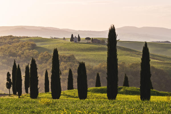 Sunrise in Orcia valley, Vitaleta chapel in San Quirico d'Orcia, Italy, Tuscany.