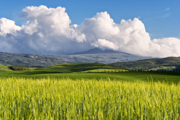 Orcia valley in siena province, Tuscany, Italy