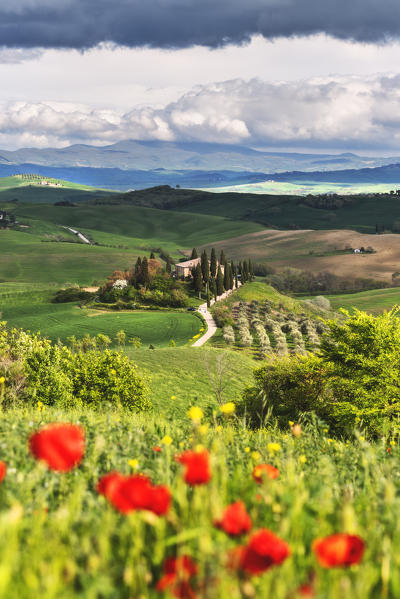 Belvedere farmhouse In orcia valley, San Quirico d'Orcia, Tuscany, Italy