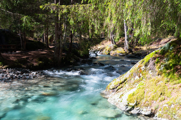 Spring season in Brandet Valley, Corteo Golgi in Brescia province, Lombardy district, Vallecamonica, Italy, Europe