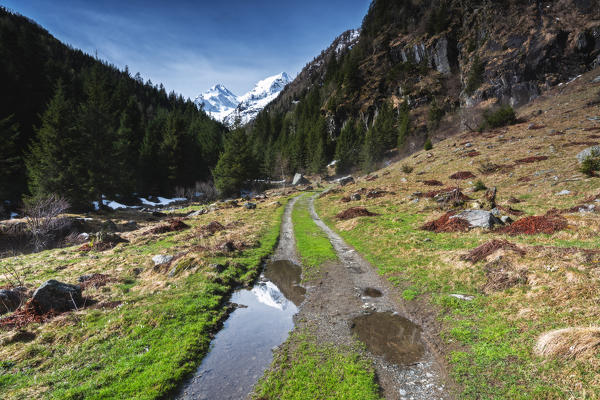 Spring season in Brandet Valley, Corteo Golgi in Brescia province, Lombardy district, Vallecamonica, Italy, Europe