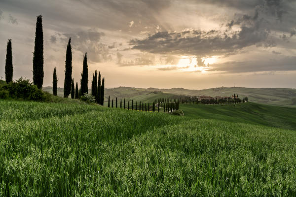 Baccoleno farmhouse at sunset in Siena Province, Tuscany, Italy