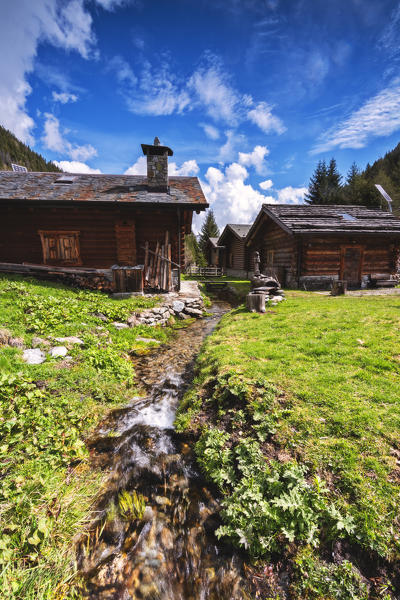 Spring season in Brandet Valley, Corteo Golgi in Brescia province, Lombardy district, Vallecamonica, Italy, Europe