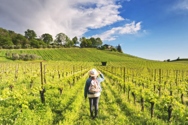 Girl among the vineyards of Franciacorta, Brescia province, Lombardy district, Italy, Europe