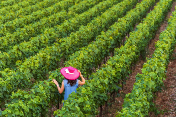 Moments in Franciacorta, Brescia province in Lombardy district, Italy, Europe