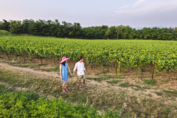 Moments in Franciacorta, Brescia province in Lombardy district, Italy, Europe