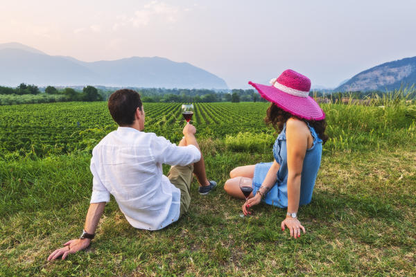 Moments in Franciacorta, Brescia province in Lombardy district, Italy, Europe