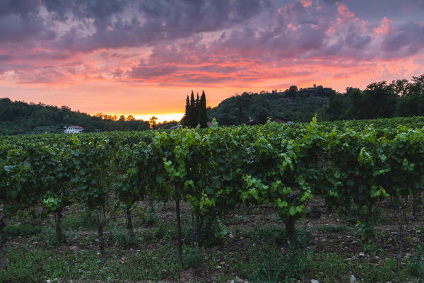 Franciacorta Horse Riding Society at sunset, Brescia province, Lombardy district, Italy.