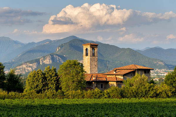 Church of Torbiato surrounded by the Franciacorta vineyards, Brescia province, Lombardy district, Italy.