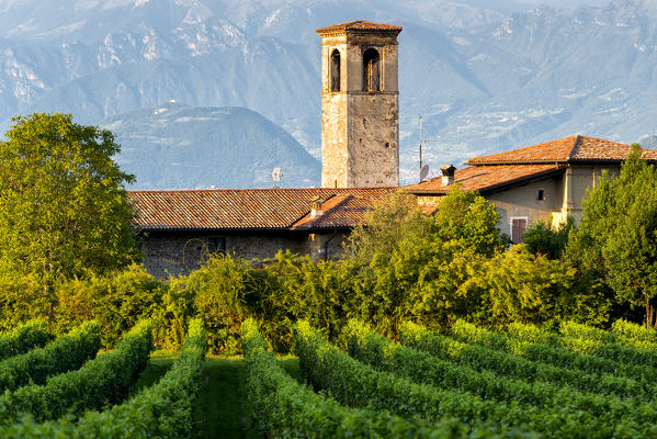 Church of Torbiato surrounded by the Franciacorta vineyards, Brescia province, Lombardy district, Italy.