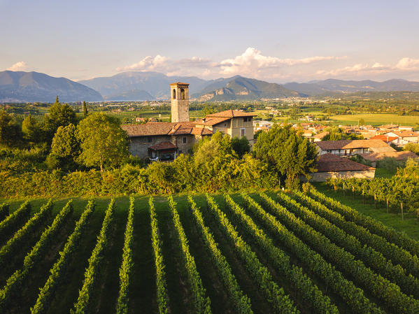 Church of Torbiato surrounded by the Franciacorta vineyards, Brescia province, Lombardy district, Italy.