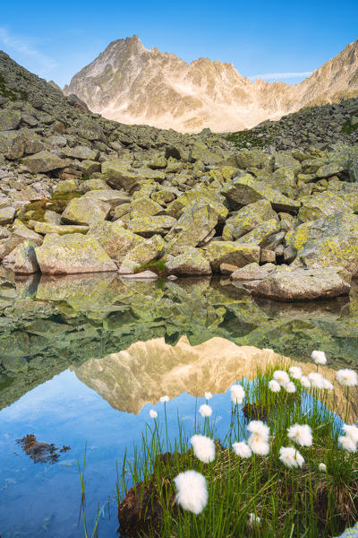 Rotondo lake in Adamello park at sunset, Lombardy district, in Brescia province, Italy, Europe.