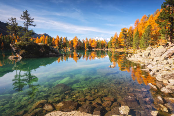 Autumn reflections at Saoseo Lake, Poschiavo Valley, Canton of Graubuenden Switzerland, Europe