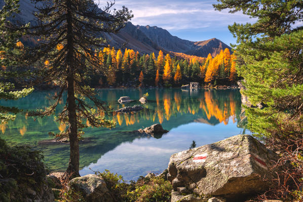 Autumn reflections at Saoseo Lake, Poschiavo Valley, Canton of Graubuenden Switzerland, Europe