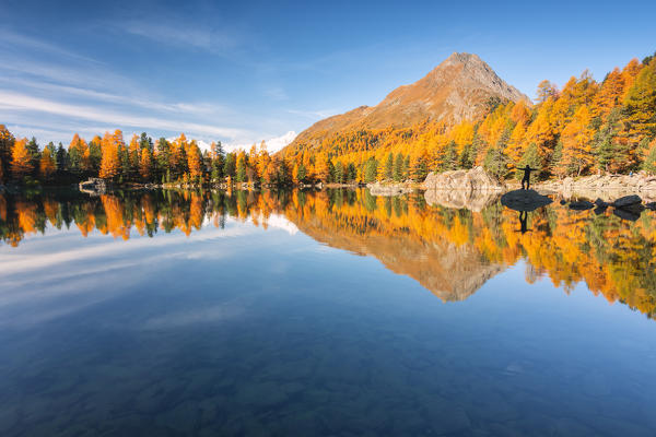 Autumn reflections at Saoseo Lake, Poschiavo Valley, Canton of Graubuenden Switzerland, Europe