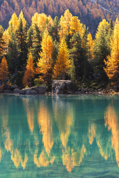 Autumn reflections at Saoseo Lake, Poschiavo Valley, Canton of Graubuenden Switzerland, Europe