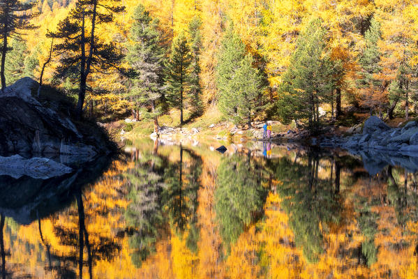 Autumn reflections at Saoseo Lake, Poschiavo Valley, Canton of Graubuenden Switzerland, Europe