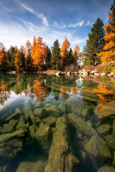 Autumn reflections at Saoseo Lake, Poschiavo Valley, Canton of Graubuenden Switzerland, Europe