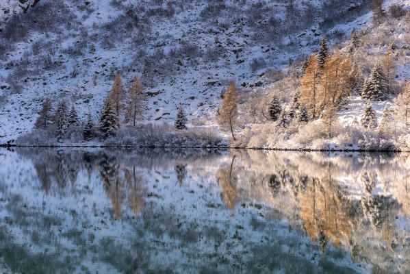 Autumn season in Aviolo lake, Vallecamonica, Brescia province, Lombardy, Italy, Europe