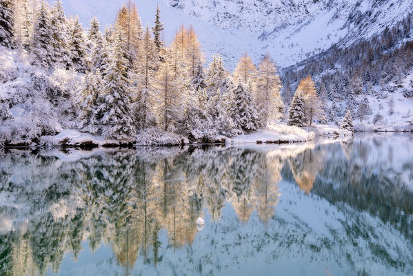 Autumn season in Aviolo lake, Vallecamonica, Brescia province, Lombardy, Italy, Europe