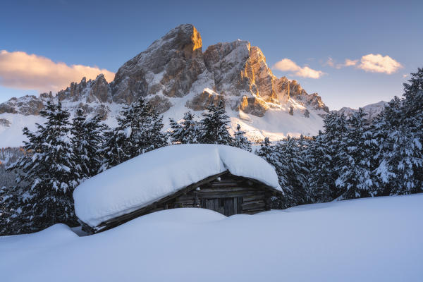 Last lights of sunset on the snowy woods framing Sass De Putia, Passo Delle Erbe ,Funes Valley, South Tyrol, Italy, Europe