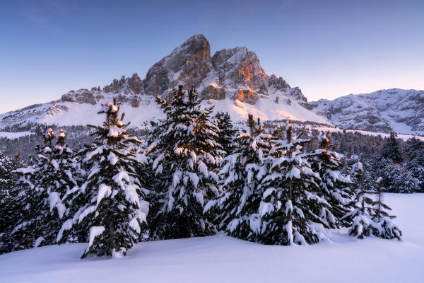 Last lights of sunset on the snowy woods framing Sass De Putia, Passo Delle Erbe ,Funes Valley, South Tyrol, Italy, Europe