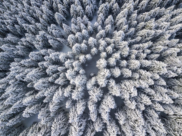 Aerial view in winter season, Brescia province in Lombardy district, Italy, Europe 