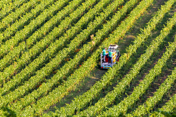 Franciacorta aerial view in Brescia province, Lombardy, Italy, Europe.