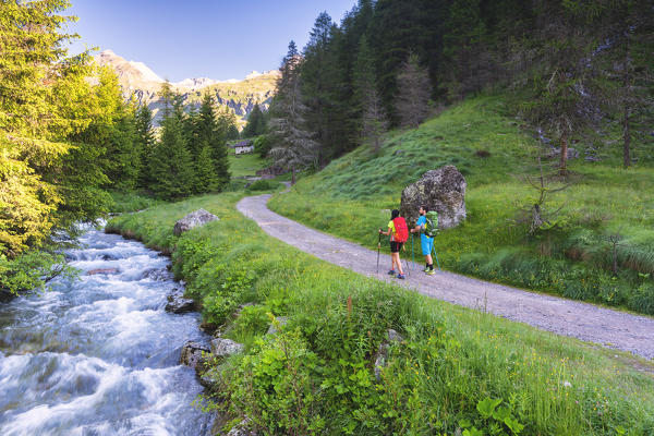 Pair of hikers on the Brescia trails, Valle Camonica, Ponte di Legno, Brescia province, Lombardy, Italy, Europe.