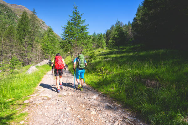 Pair of hikers on the Brescia trails, Valle Camonica, Ponte di Legno, Brescia province, Lombardy, Italy, Europe.