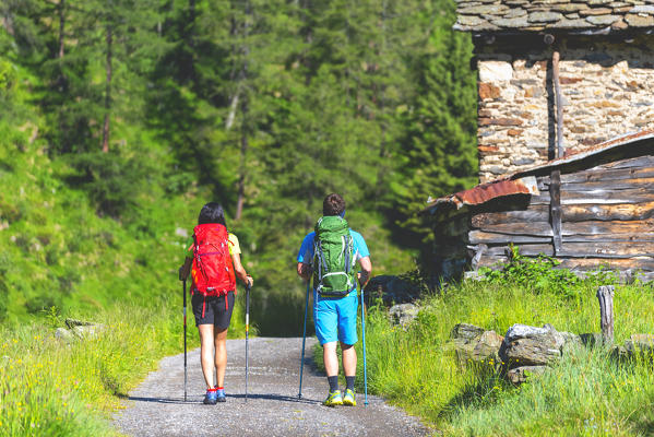 Pair of hikers on the Brescia trails, Valle Camonica, Ponte di Legno, Brescia province, Lombardy, Italy, Europe.