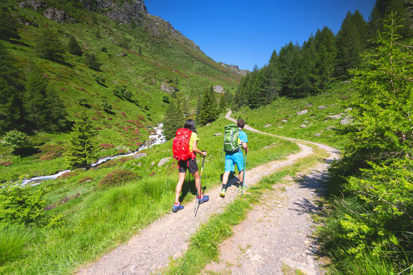 Pair of hikers on the Brescia trails, Valle Camonica, Ponte di Legno, Brescia province, Lombardy, Italy, Europe.