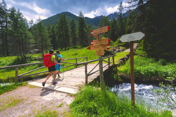 Pair of hikers on the Brescia trails, Valle Camonica, Ponte di Legno, Brescia province, Lombardy, Italy, Europe.