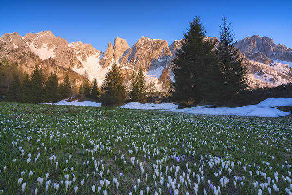 Orobie alps at sunset in Scalve valley, Bergamo province, Lombardy district, Italy, Europe.