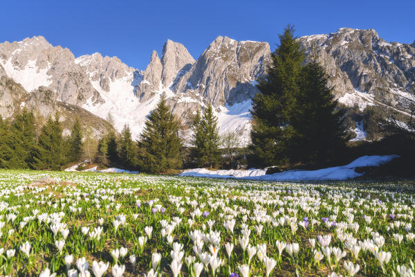 Orobie alps at sunset in Scalve valley, Bergamo province, Lombardy district, Italy, Europe.