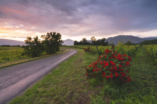 Franciacorta Wine Route in Brescia province, Lombardy district, Italy Europe.